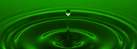 nycogreen-portfolio